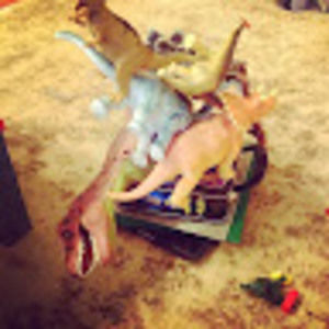 Meet your Posher, Laura